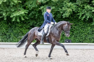 Sieger Chrisoph Niemann Starker trab