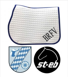 Partnerschaft St-eb