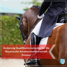Bayerische Amateurmeisterschaft