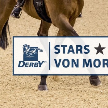Derby_Stars_von_Morgen