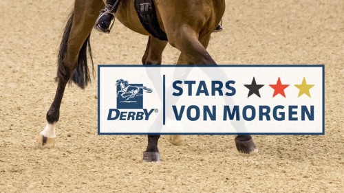 Derby_Stars_von_Morgen