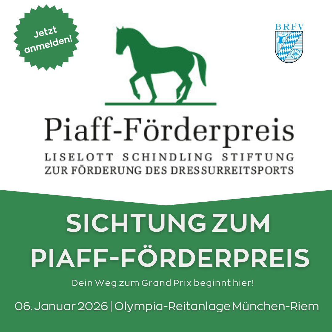 Sichtung Piaff-Förderpreis 2026
