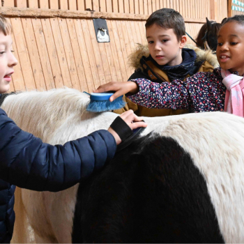 Ursula Baumgart, Schulsportprojekt Matthof
