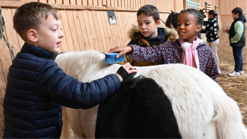 Ursula Baumgart, Schulsportprojekt Matthof