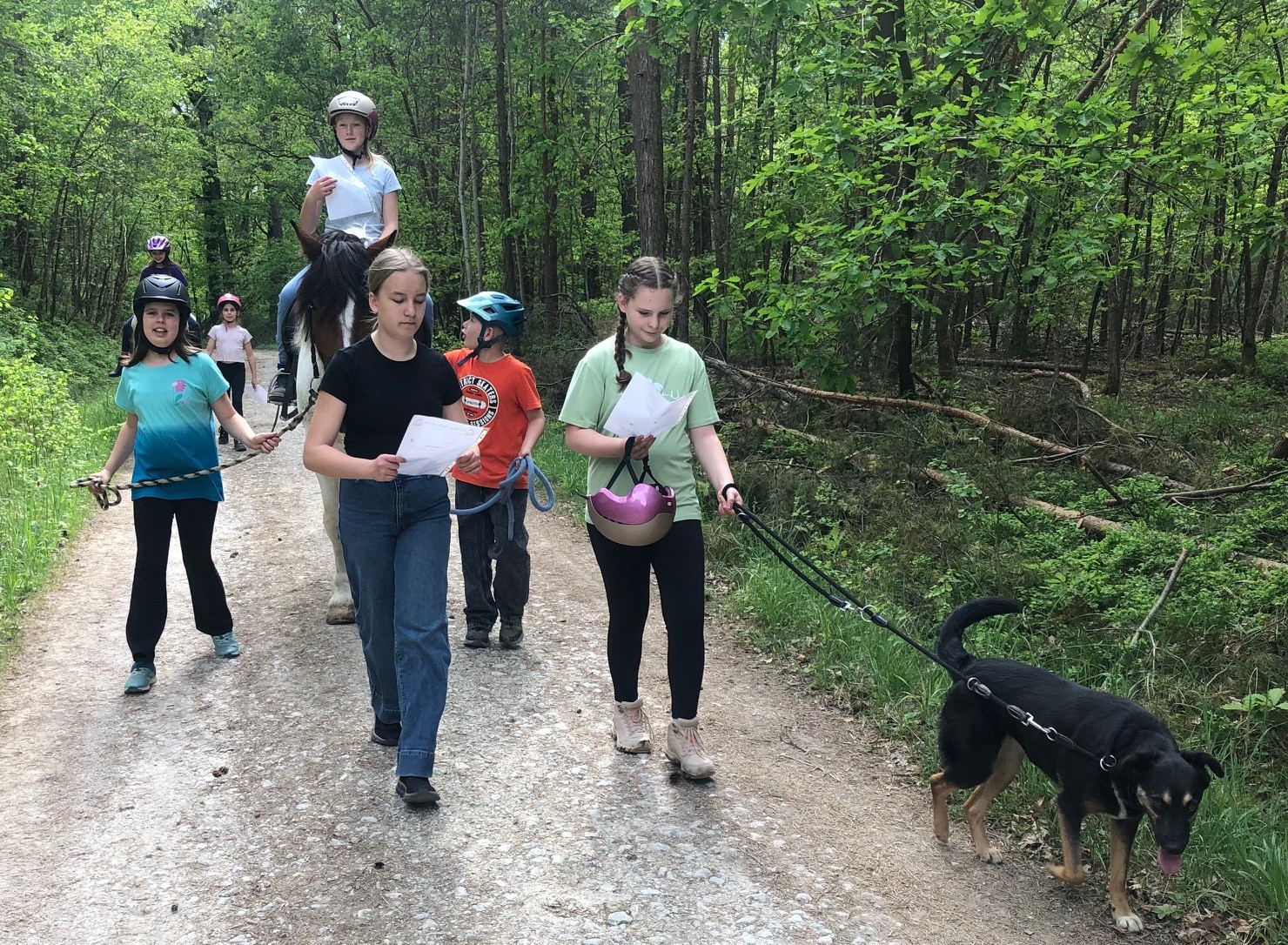 Mathe im Wald 01