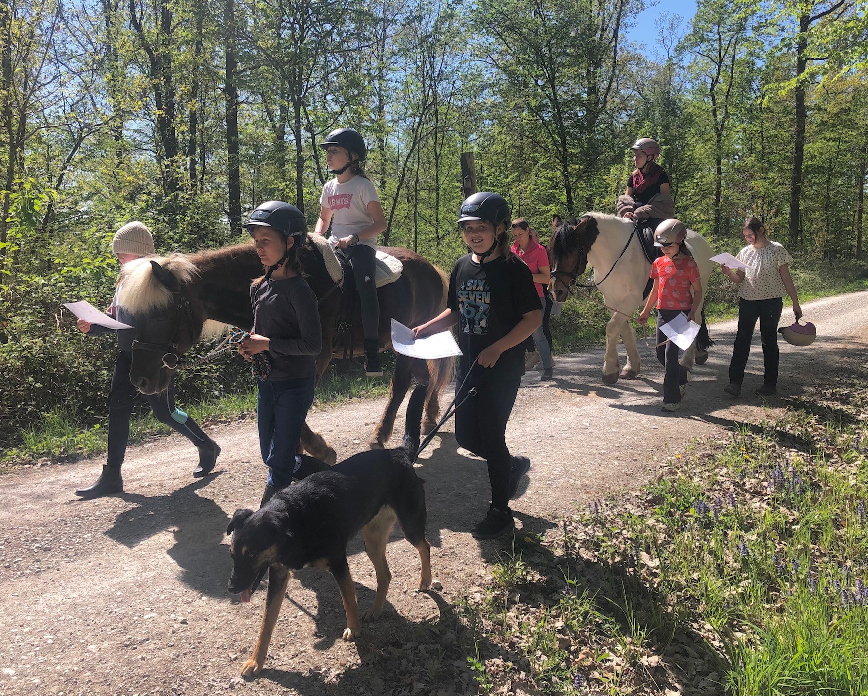 Mathe im Wald 02