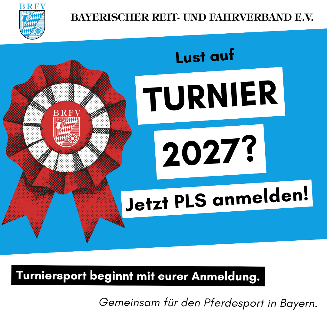 Instagram Beiträge BRFV (2)
