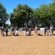 Suchsport Reiten 02