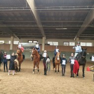 Suchsport Reiten 06